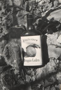 liquore doppio cedro